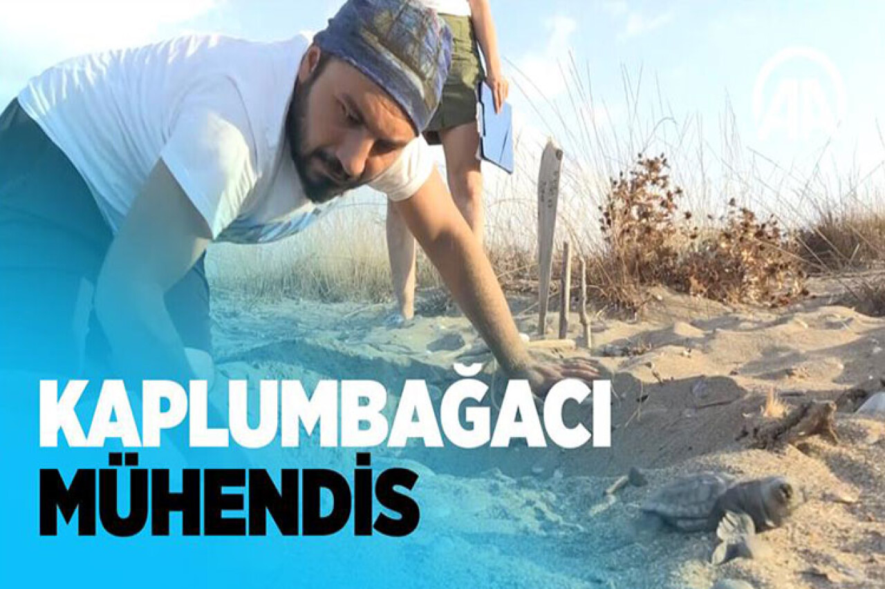 'Kaplumbağacı mühendis'in yaşam nöbeti