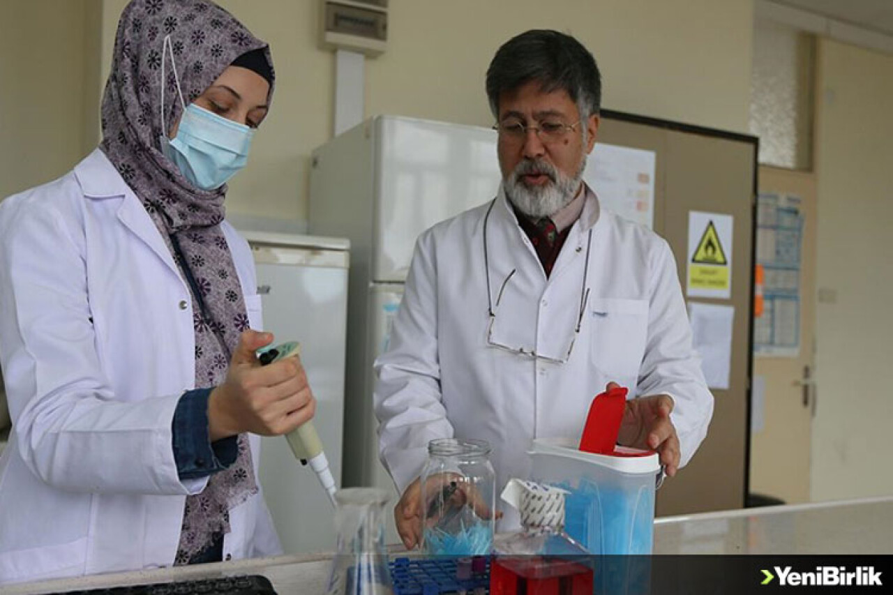 Propolisten koruyuculuk düzeyi yüksek cerrahi maske geliştirildi