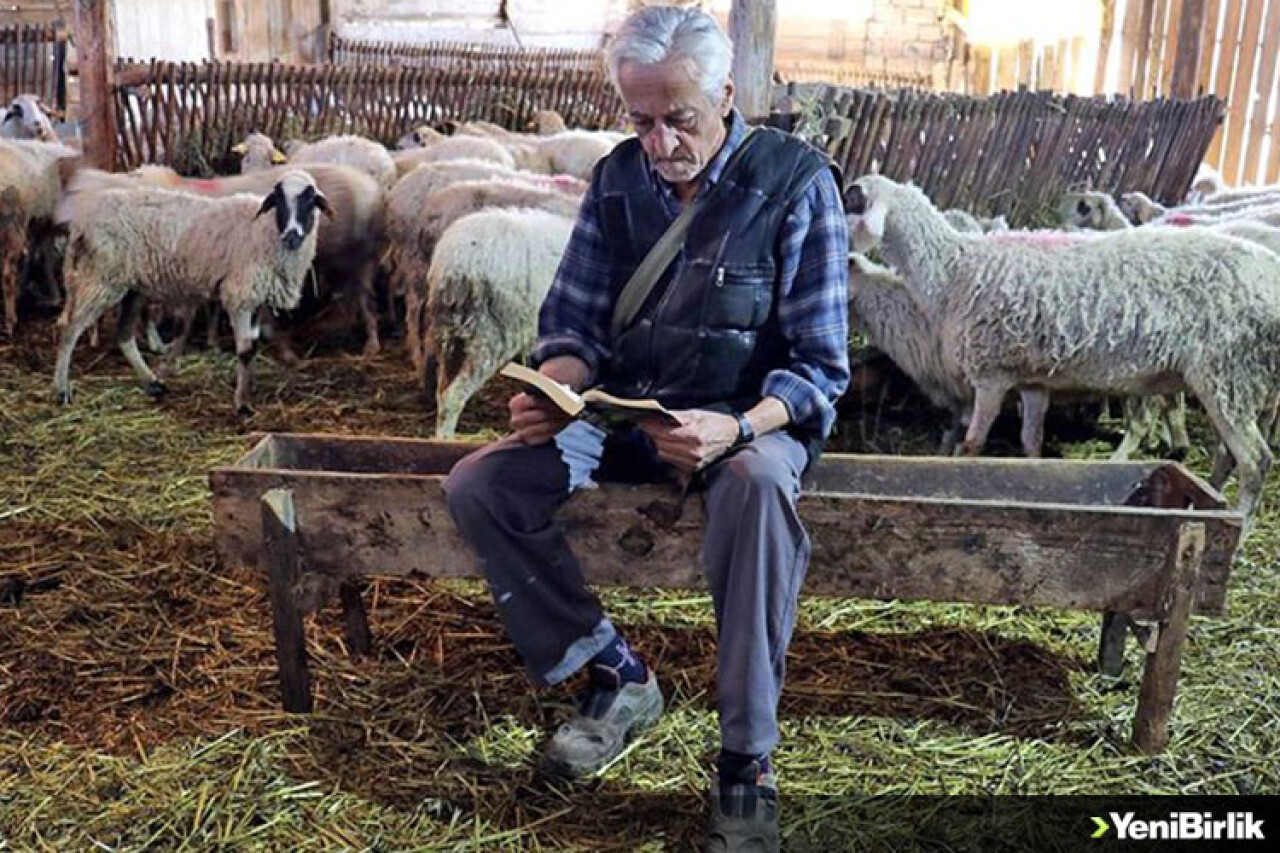 Köyüne dönen zabıta Nusret hayvanları ve kitaplarıyla huzurlu