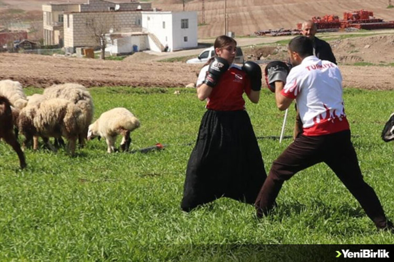 Diyarbakırlı kick boks şampiyonu Meyrama Çelebi başarılarıyla köyündeki kızlara örnek olmak istiyor