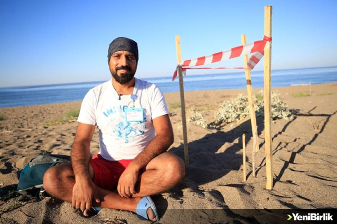12 yıldır caretta carettaların yuvalarını koruyor