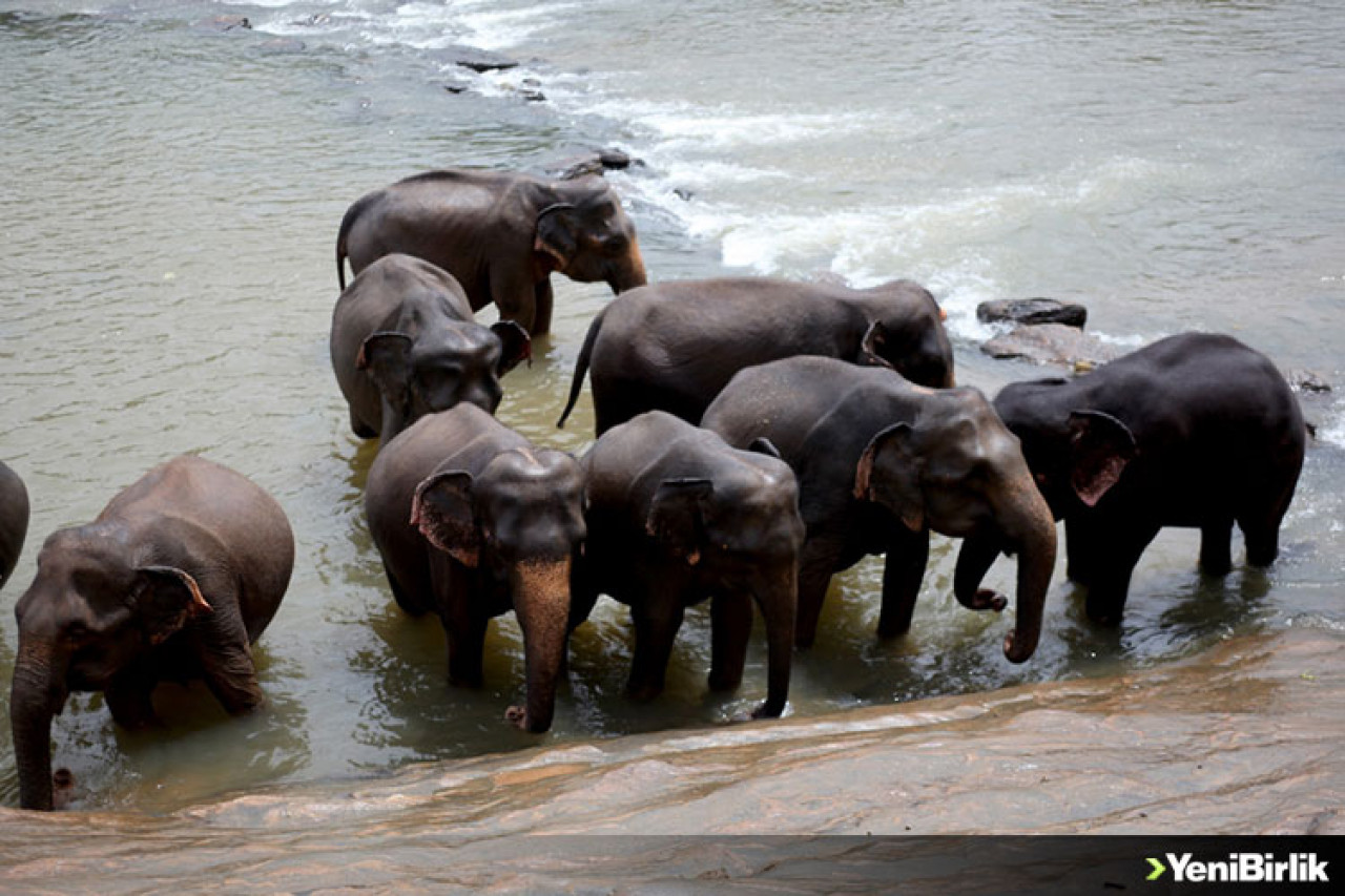 İşte Dünyanın En İlginç Yetimhanesi