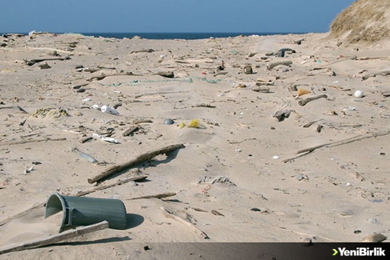 Kanada'nın Robinson Crusoe'su ıssız adada plastiklerle mücadele ediyor