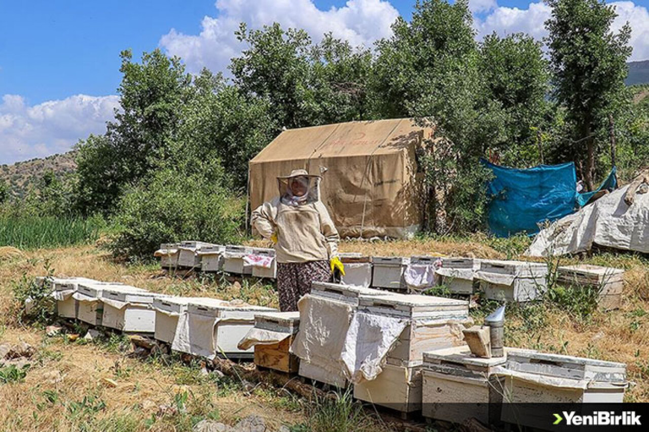 Vanlı kadın çiftçi devlet desteğiyle arıcılığı meslek edindi