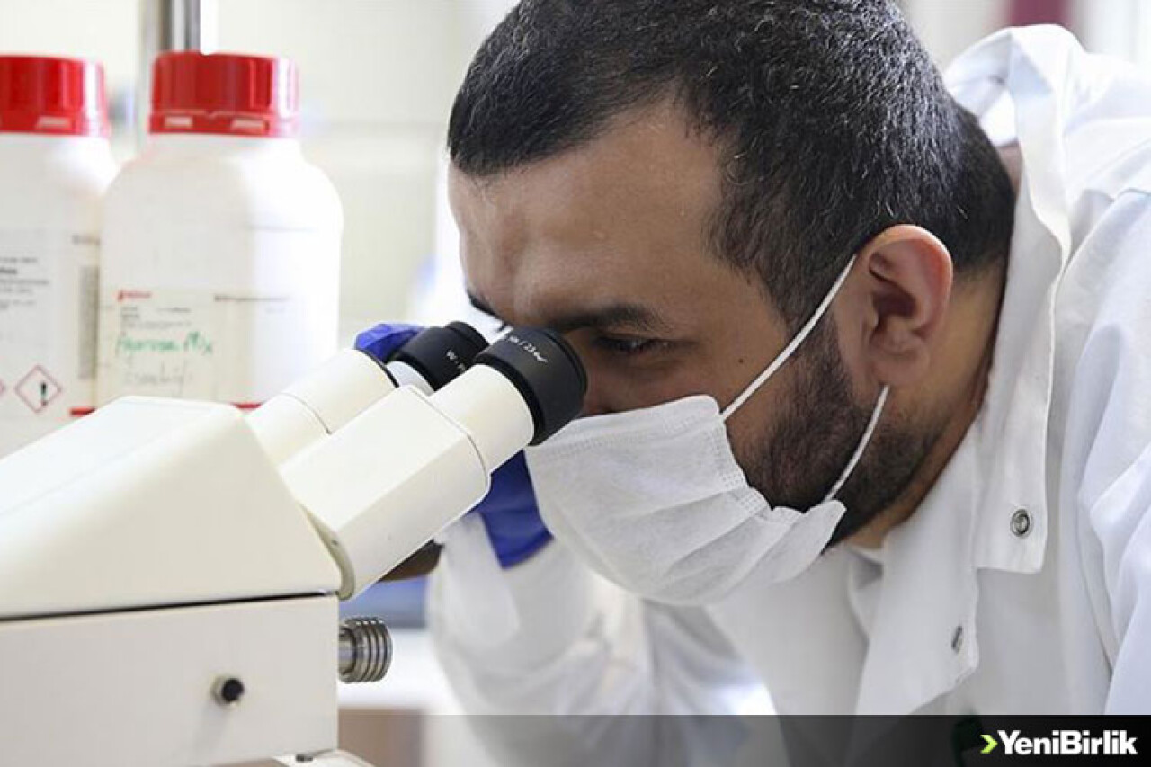 Türk bilim insanları kanserle savaşacak 'uyuyan hücrelerin' şifrelerini keşfetti