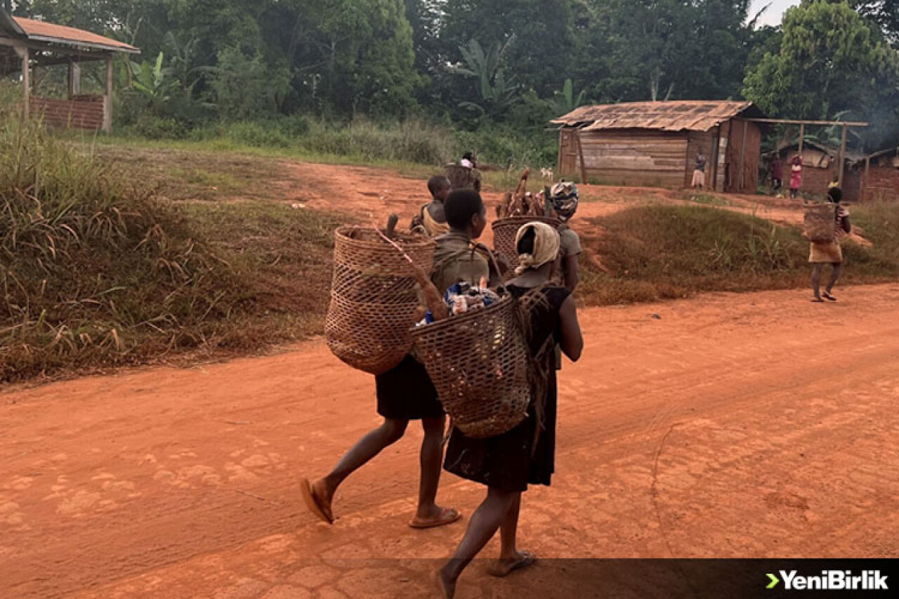 Kamerun'da Afrika'nın en eski yerlileri Pigmeler kimliksiz yaşamaya mahkum ediliyor