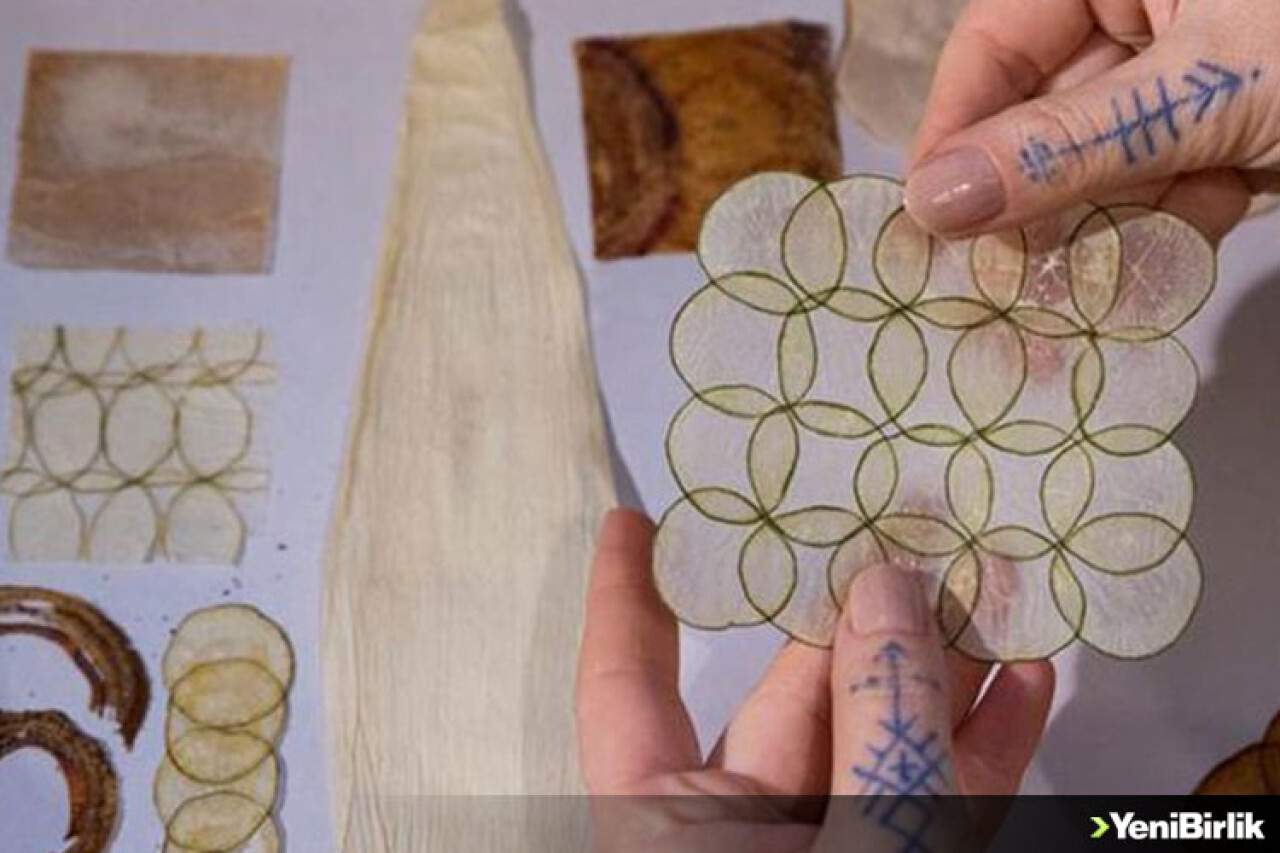 Çevre bilinci biyosanatla birleşti, organik maddeler sanat eserine dönüştü