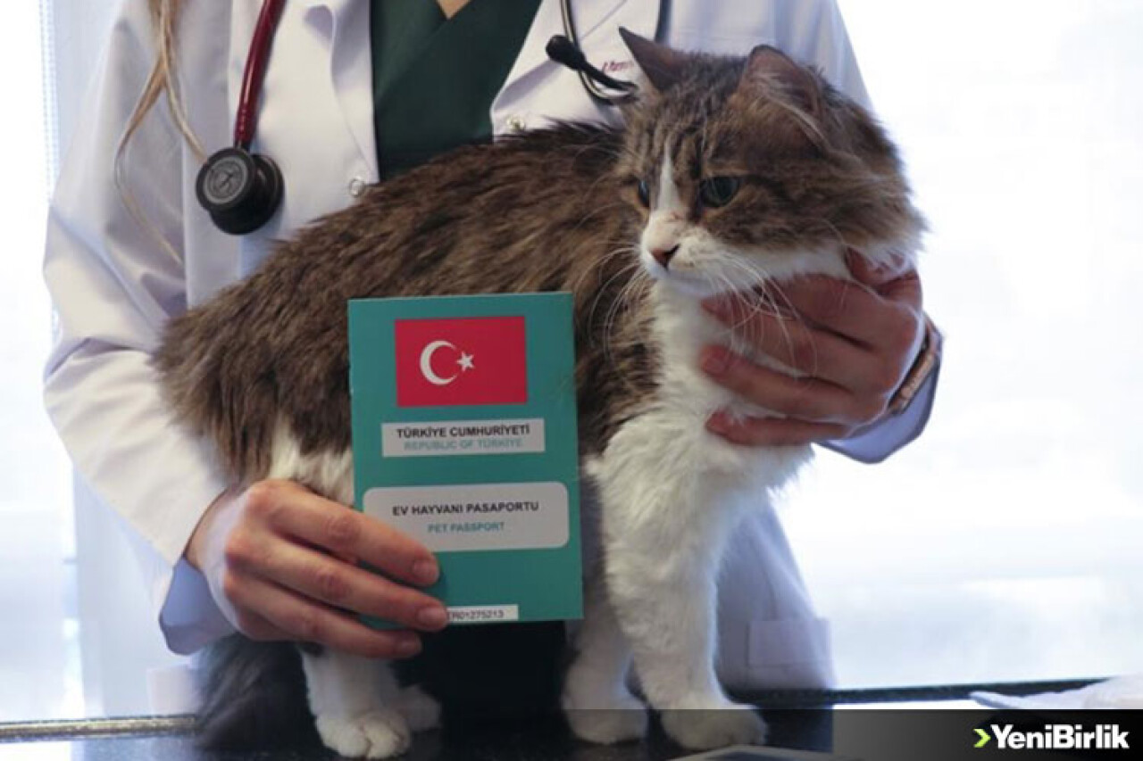 Hayvanlarda dijital kimlik için son tarih 31 Aralık