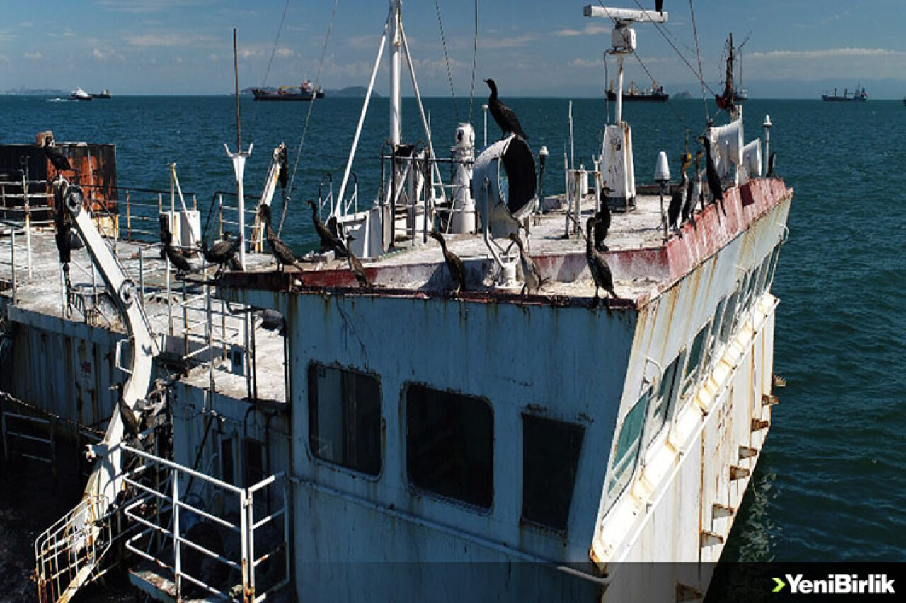 Karabataklar Hayalet Gemileri Mesken Tuttu