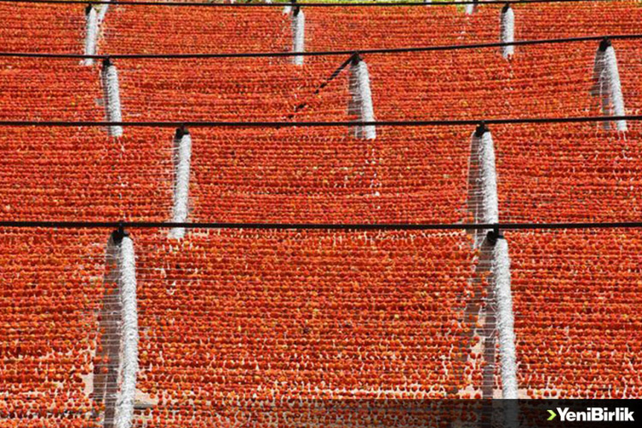 Rengarenk 'Antep kurutmalıklar' tezgahlara asıldı