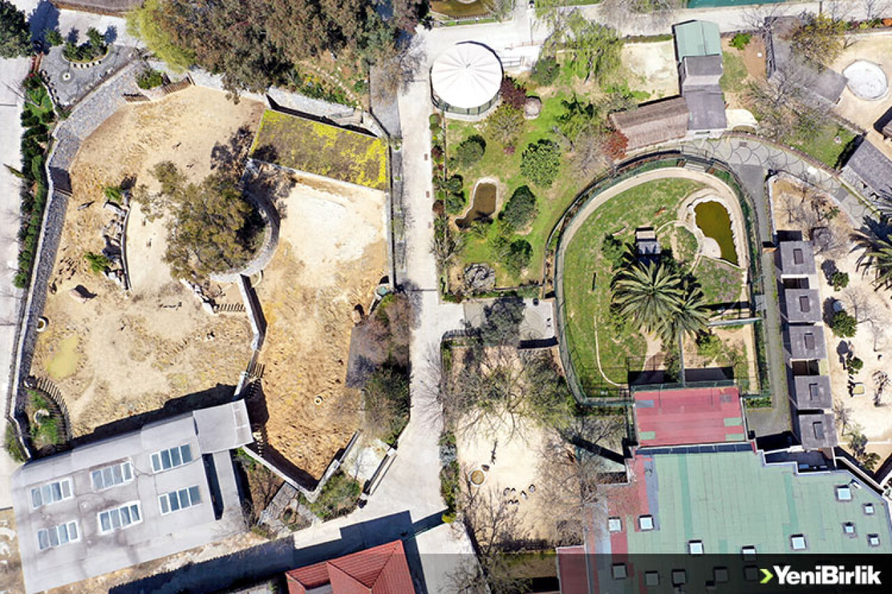 Hayvanat bahçesi sakinleri "en sessiz baharı"nı yaşıyor