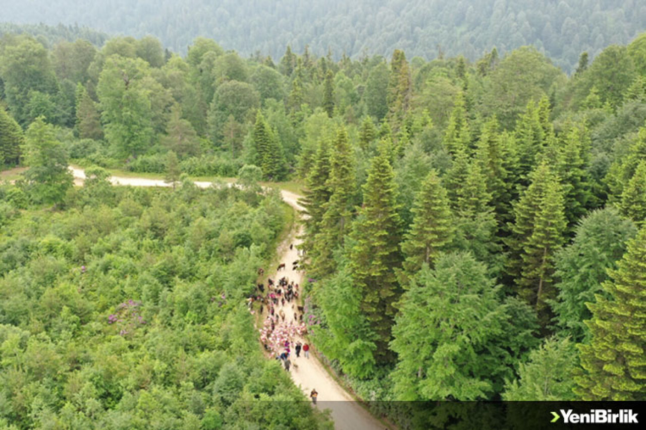 Yaylacıların "şenlik havası"nda göç yolculuğu başladı