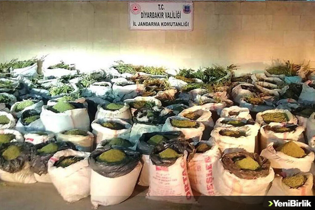 Lice'de 5 ton 81 kilogram esrar, 14 milyon 169 bin 150 kök kenevir ele geçirildi