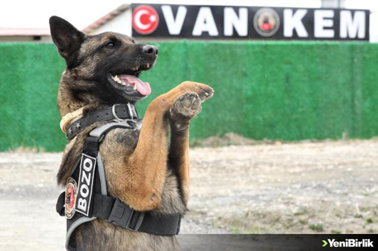 Narkotik köpeği 'Bozu' uyuşturucuya geçit vermiyor