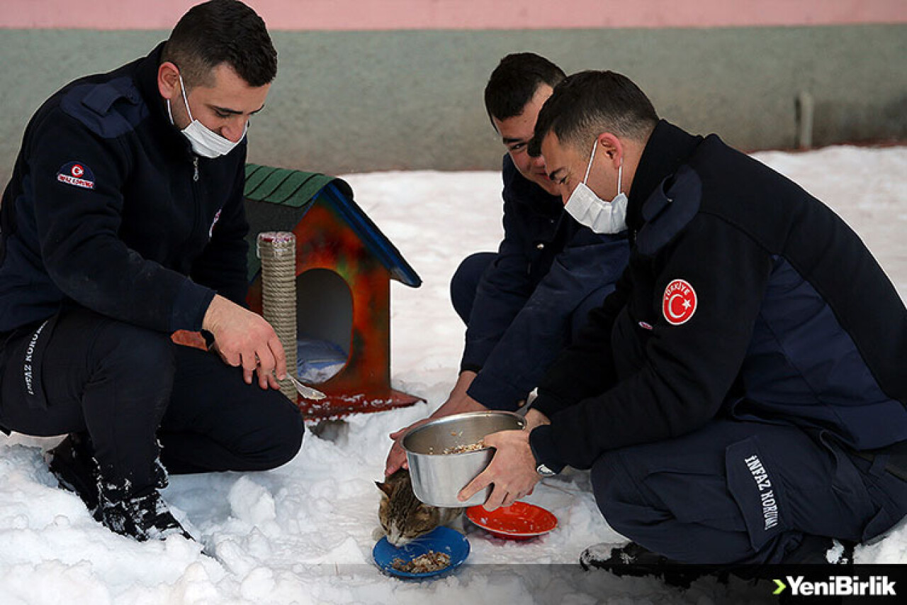 Ceza infaz kurumu personeli ve hükümlülerden 'can dostlar'a şefkat eli
