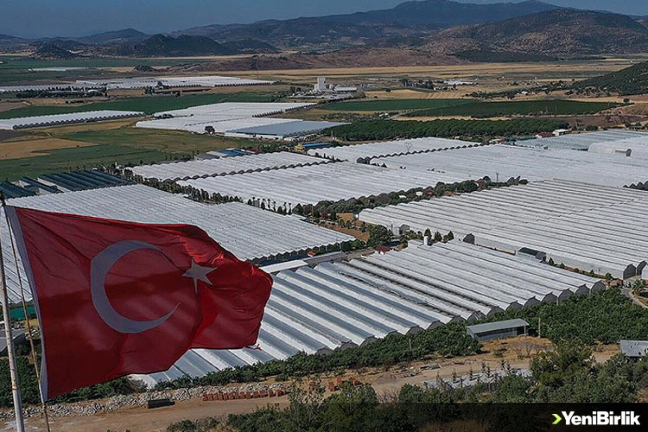 Çevreci ve ekonomik jeotermal seralar yüzde 400 büyüdü