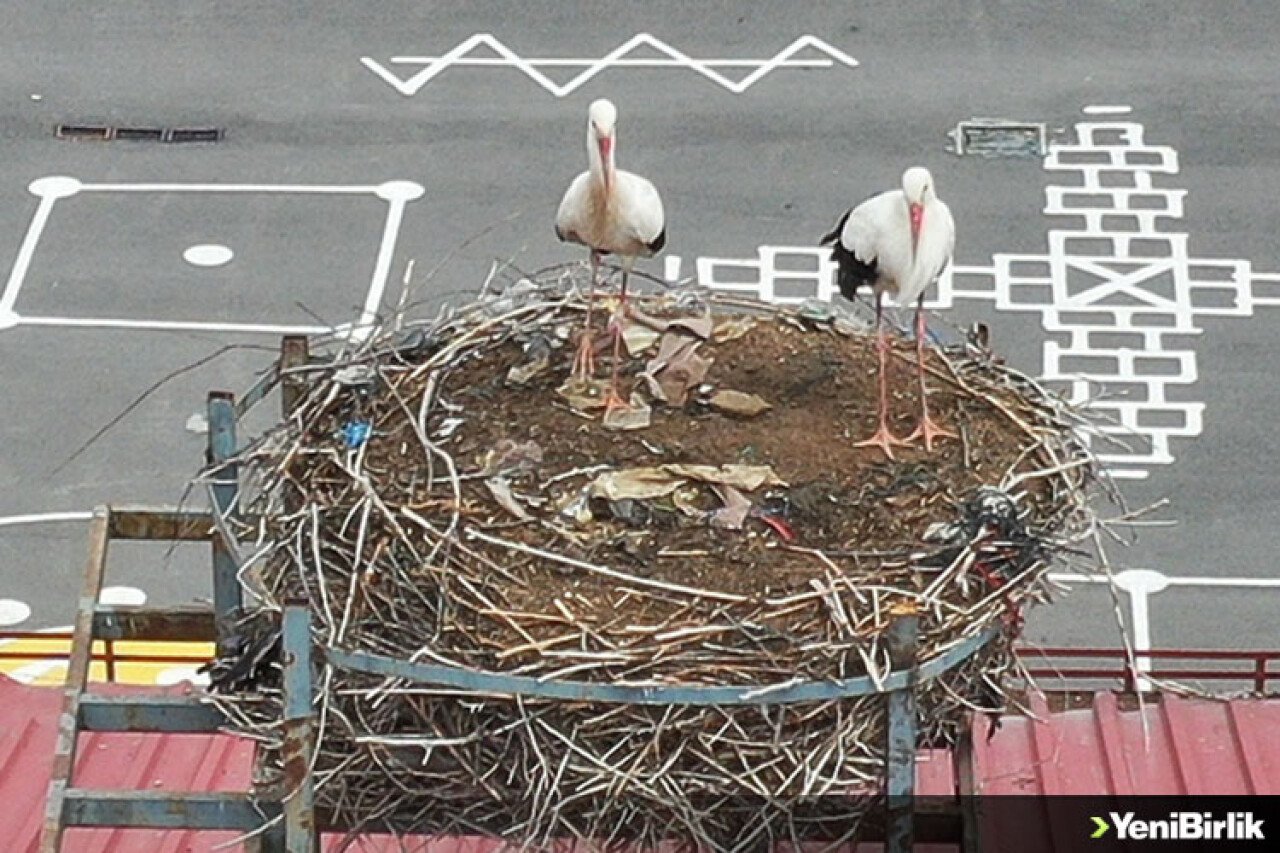 Sivas'taki "leylekli okulun" misafirleri geldi