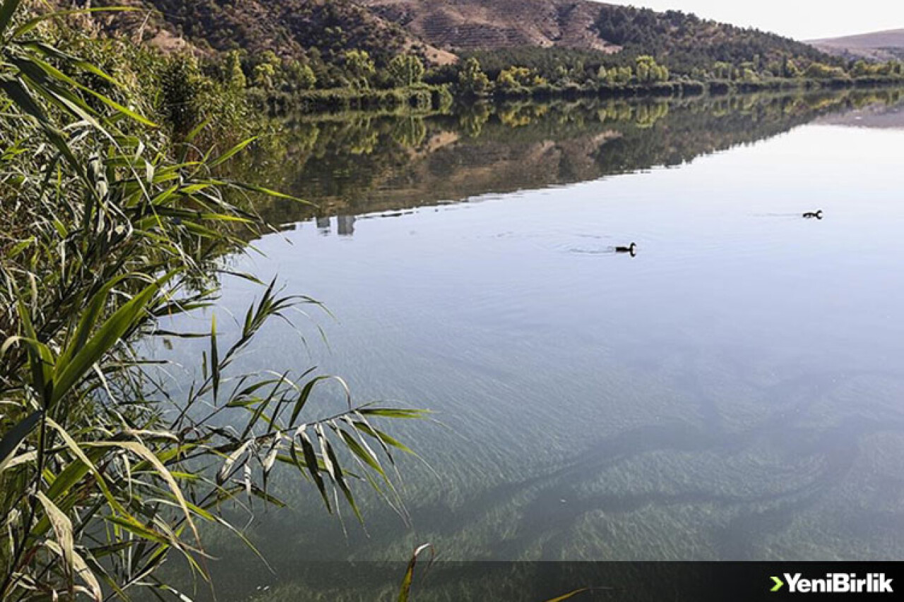 ODTÜ Eymir Gölü'ndeki aşırı siyanobakteri artışını anbean takip ediyor