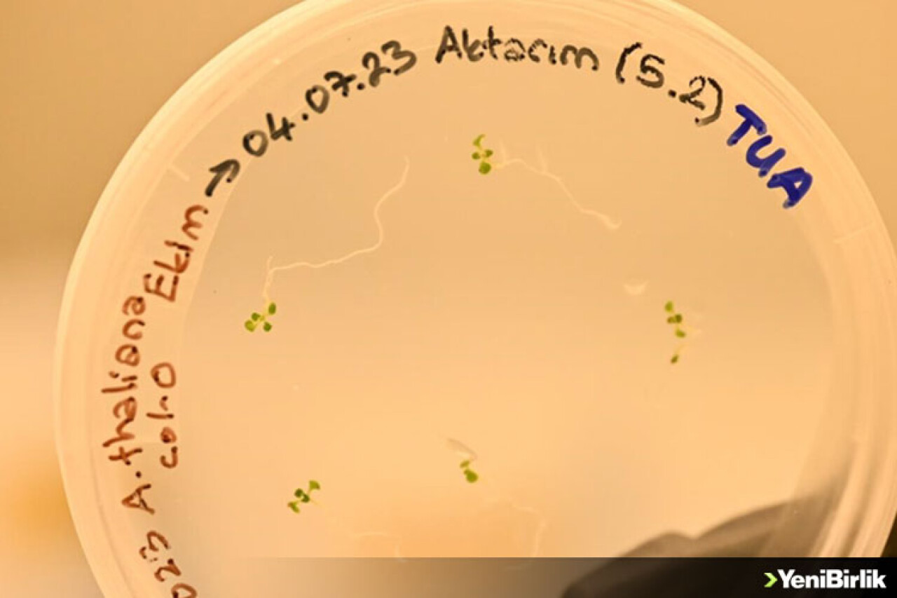 Türk bilim insanları uzayda bitki yetiştirecek