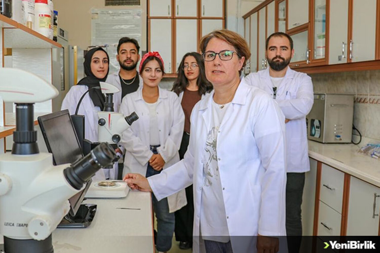 Van'da 25 yıllık çalışmayla 13 mikroorganizma içeren mikrobiyal gübre geliştirildi