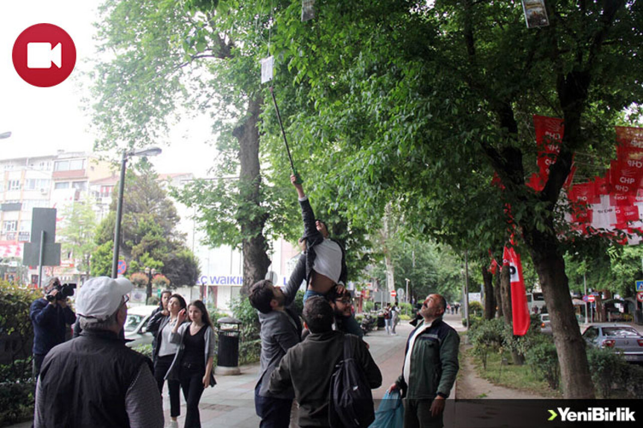 Ağaçlar Kitap Açtı