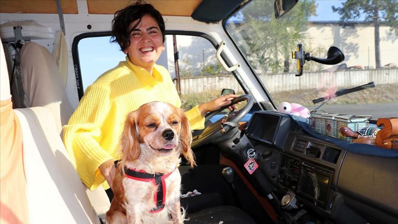 'Düldül'üyle il il gezerek sokak hayvanlarını besliyor
