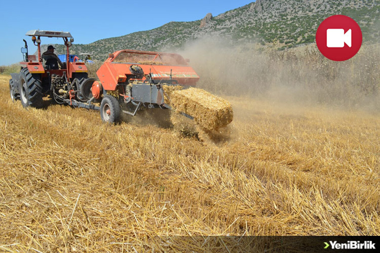 Çiftçilerin Saman Balyalama Mesaisi Başladı
