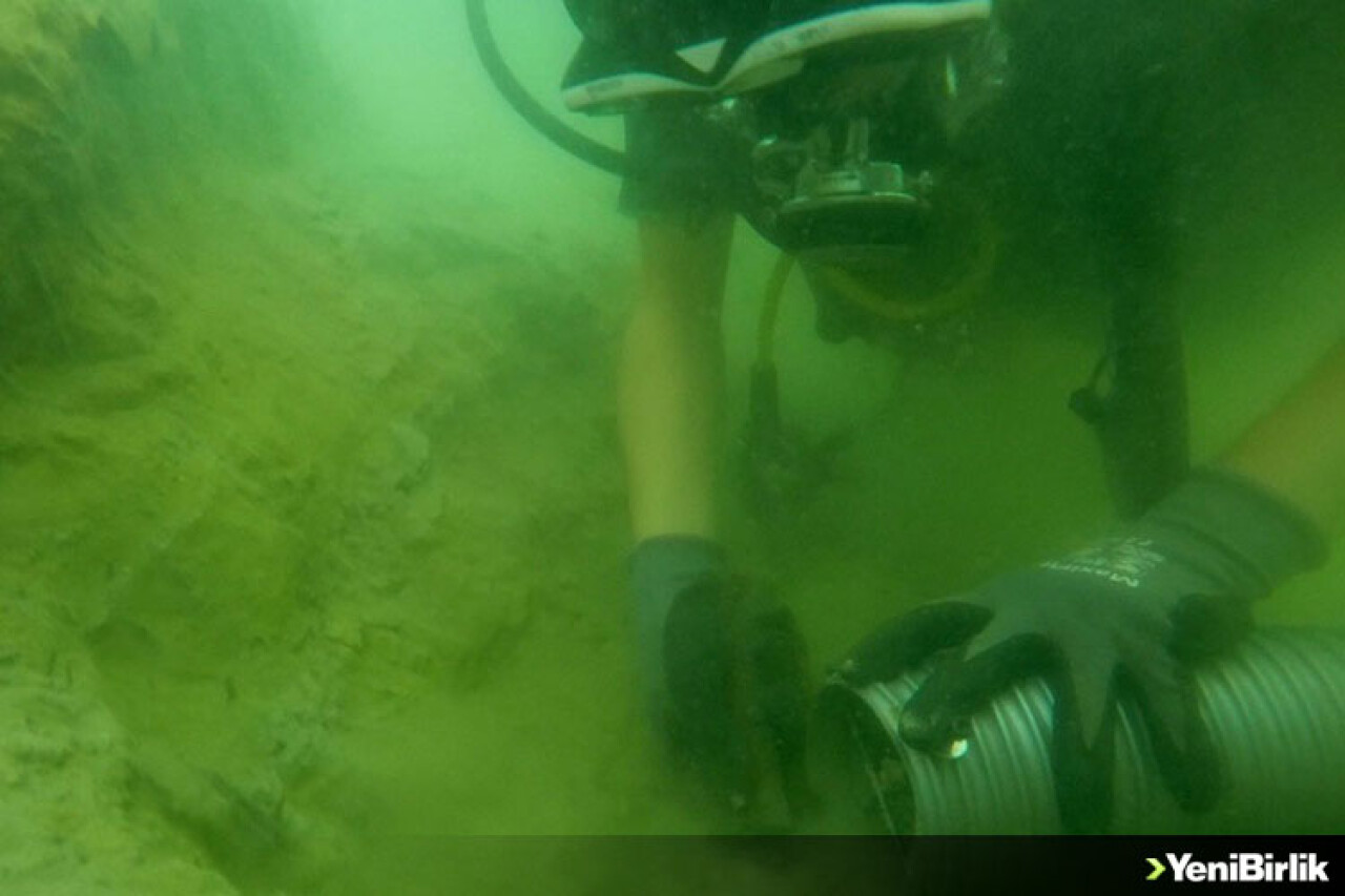 Tesadüfen Keşfedildi