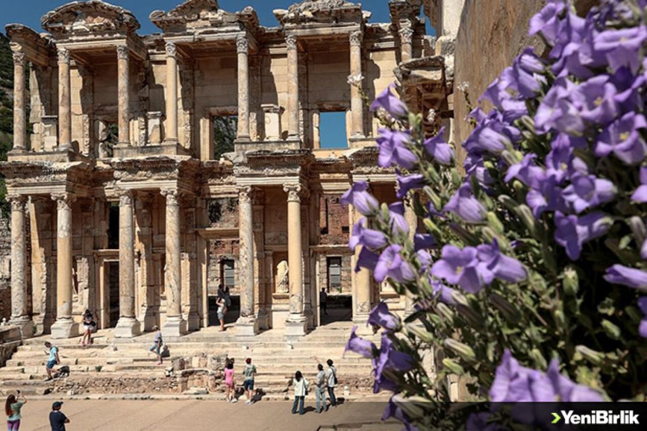 Efes Antik Kenti'nde salgının izi "kruvaziyer" dalgasıyla siliniyor