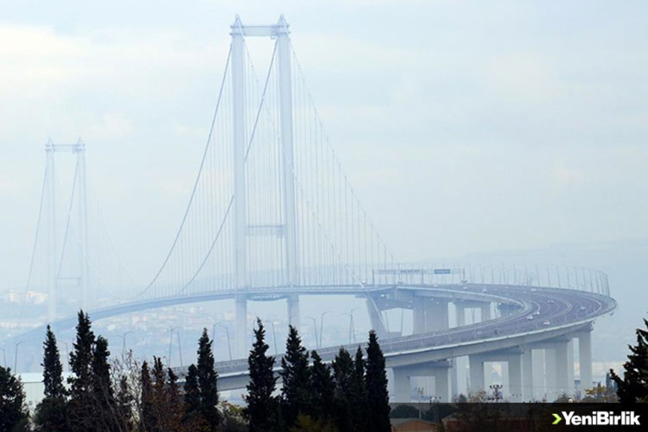 Osmangazi Köprüsü sadece insanların değil göçmen kuşların da denizi geçişini kolaylaştırdı