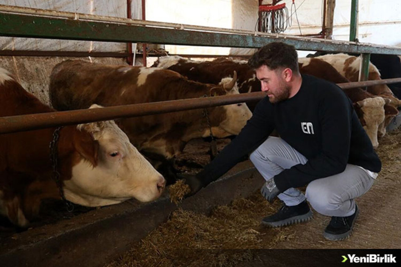 Üniversite mezunu genç devlet desteğiyle besici oldu