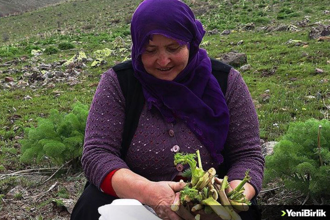 Dağlardan gelen lezzetler iftar ve sahur sofralarını süslüyor