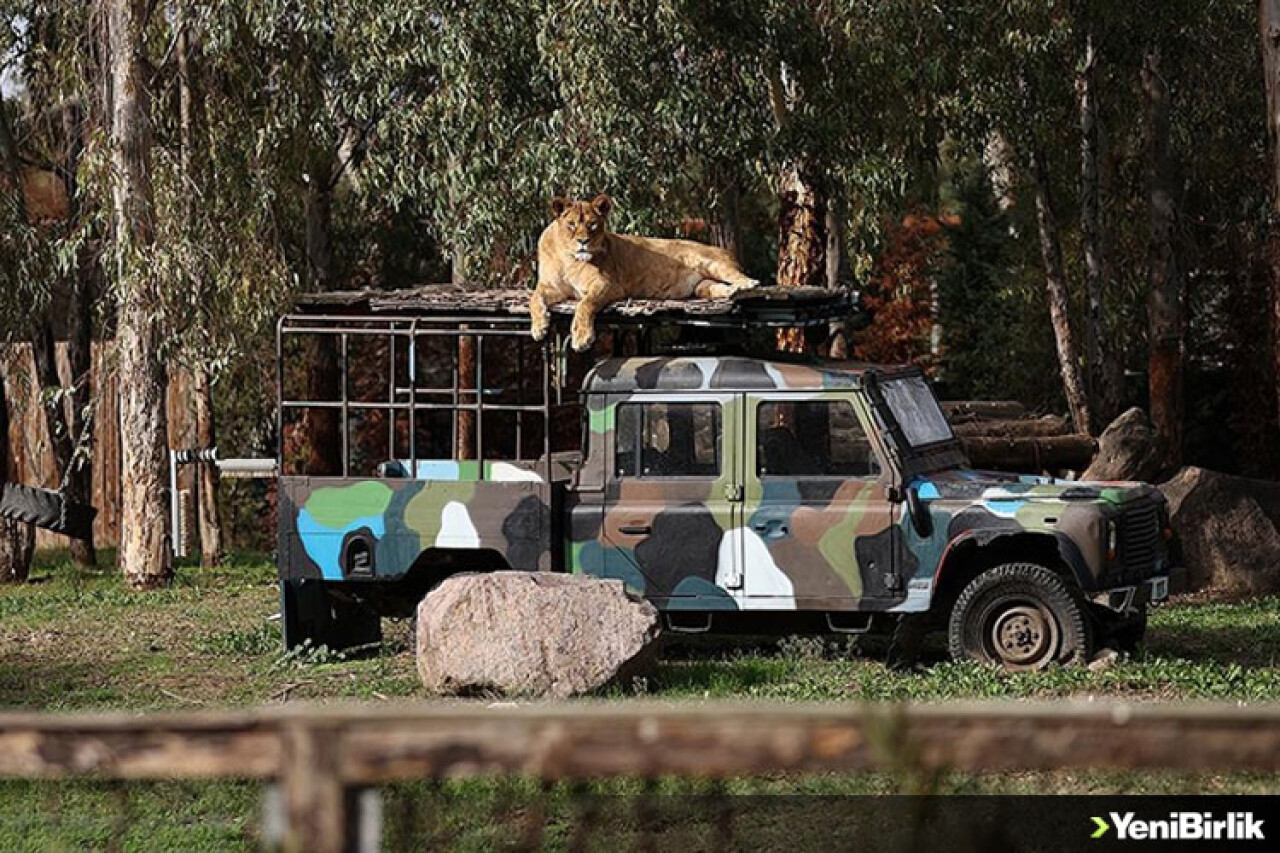 İzmir Doğal Yaşam Parkı yeni yüzüyle salgın sonrasına hazır