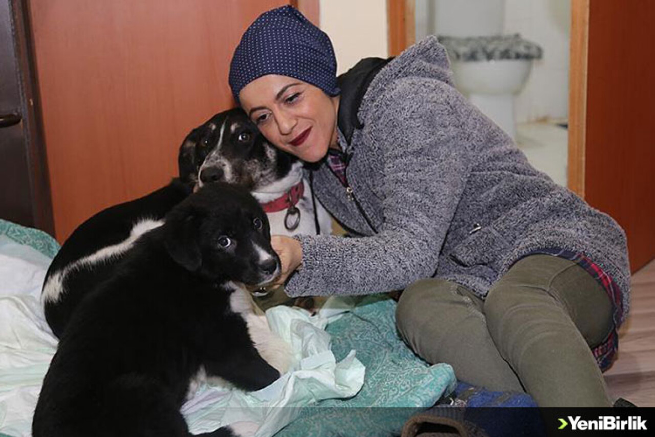 Varını Yoğunu 'Patiköy'e Harcıyor