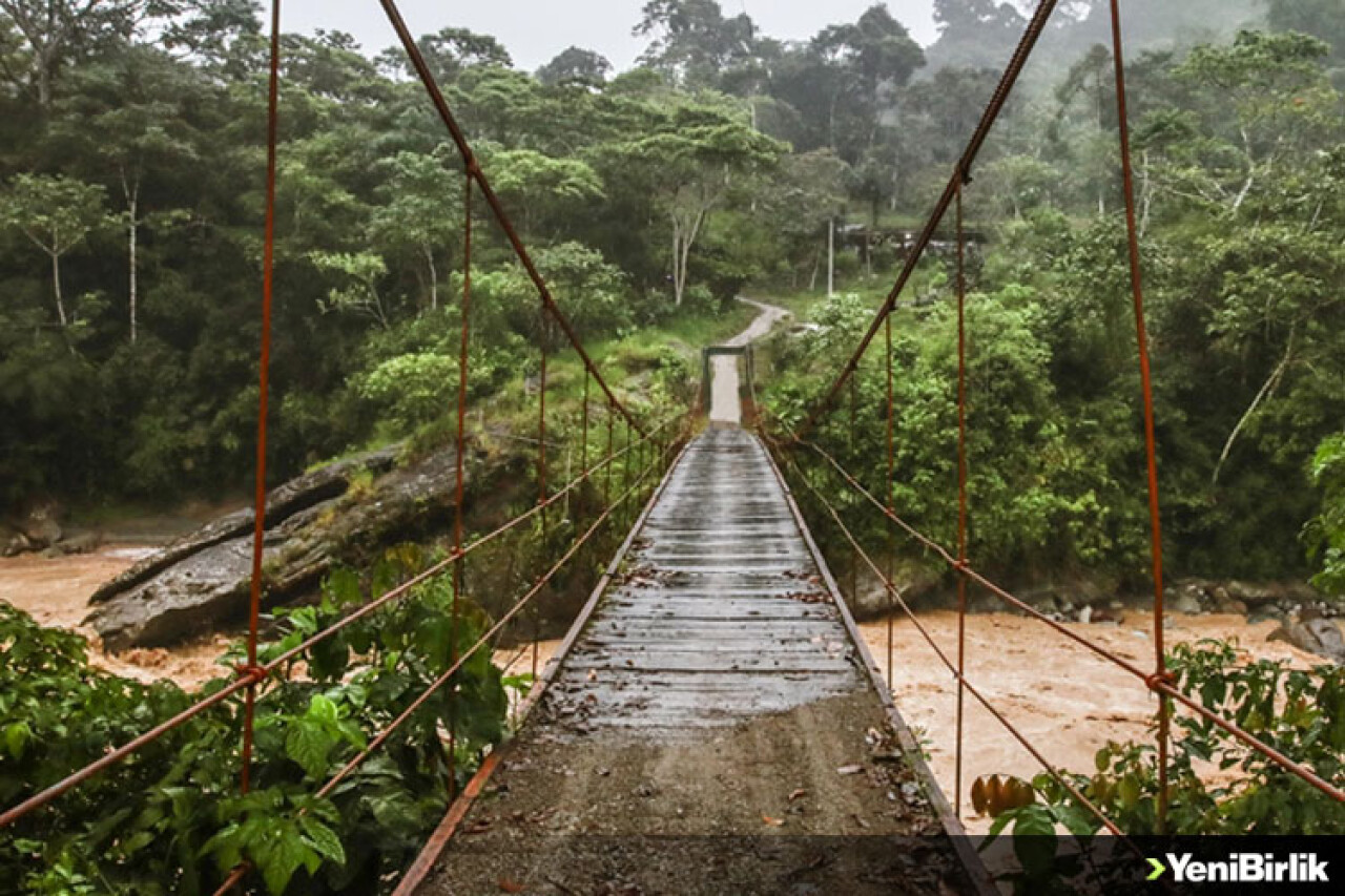Amazonlardaki illegal madencilik Yanomami kabilesinden çocukların ölümüne yol açıyor