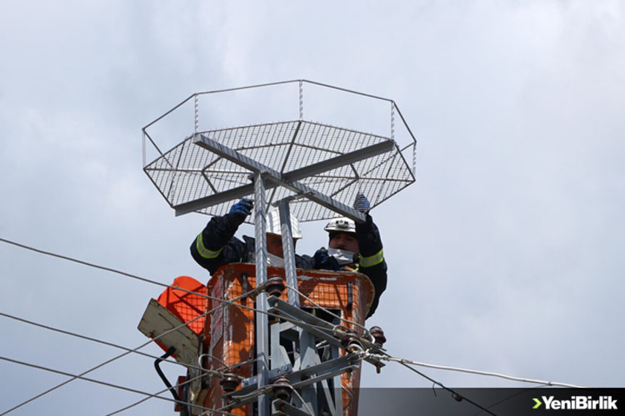 Tekirdağ'da leyleklerin akıma kapılmaması için elektrik direklerine özel platformlar kuruluyor