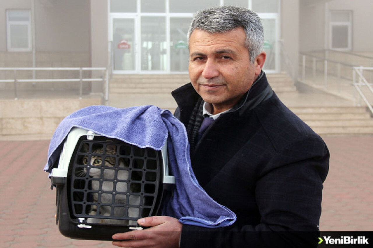 Kedisiyle Mahkemeye Geldi