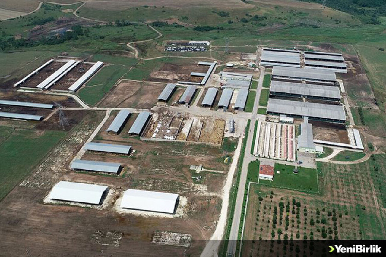 TİGEM Trakya'nın tarım ve hayvancılığına büyük katkı sağlıyor