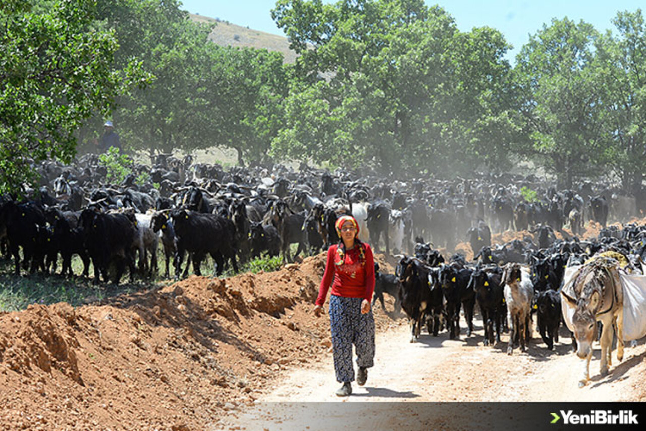Karakeçili Yörükleri yayla yolunda