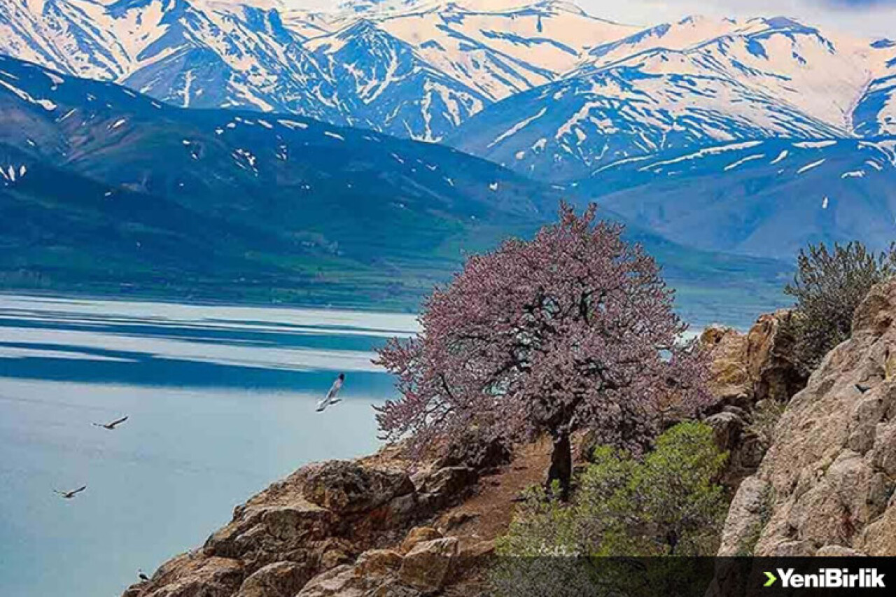 Van Gölü'nün dört adası etkinliklerle tanıtılıyor