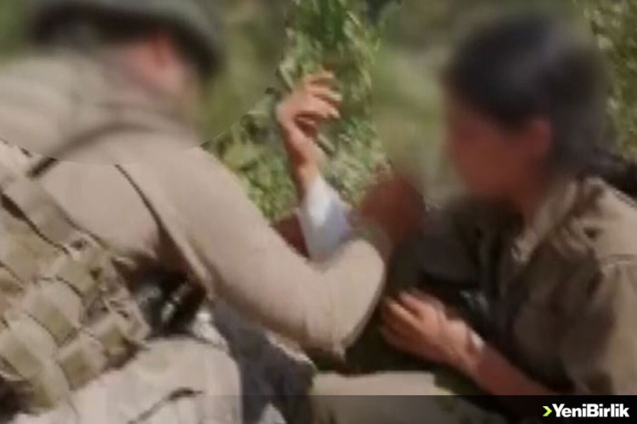 Mehmetçik'ten yaralı teröriste şefkat eli