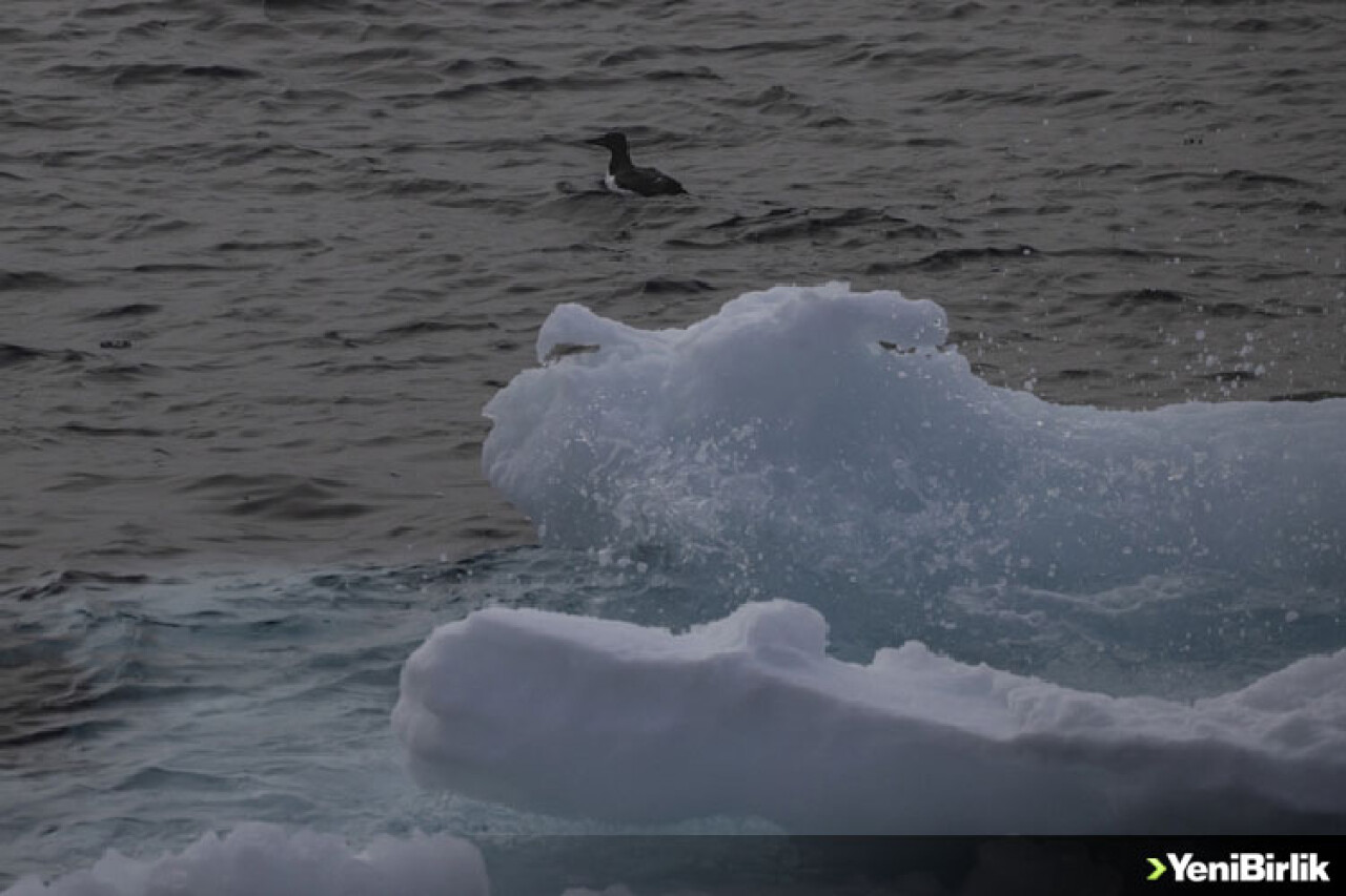 İklim dengesizliği kuraklıkla beraber ekolojiyi de tehdit ediyor
