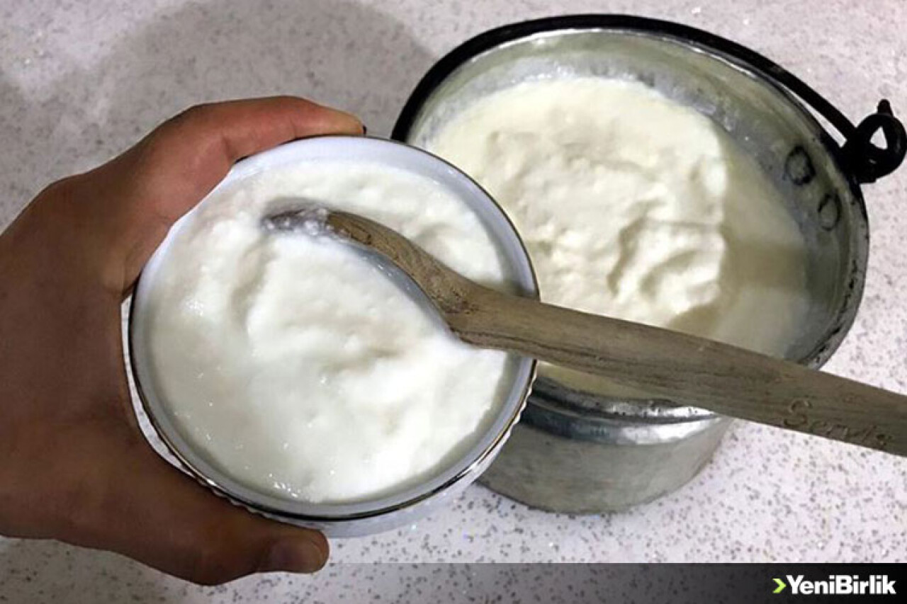 Yoğurt gripten koruyor