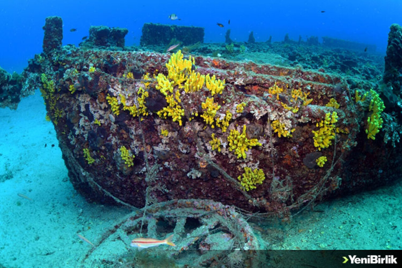 Çanakkale Savaşları'nda batan 'HMS Majestic' gemisinin batığı görüntülendi