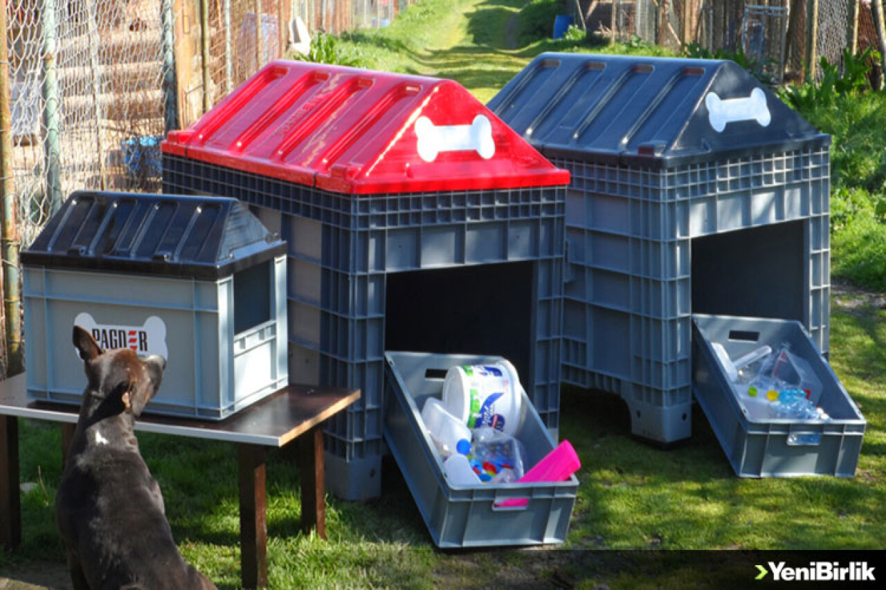 Plastik Atıklar 'Minik Dostlara' Yuva Oldu