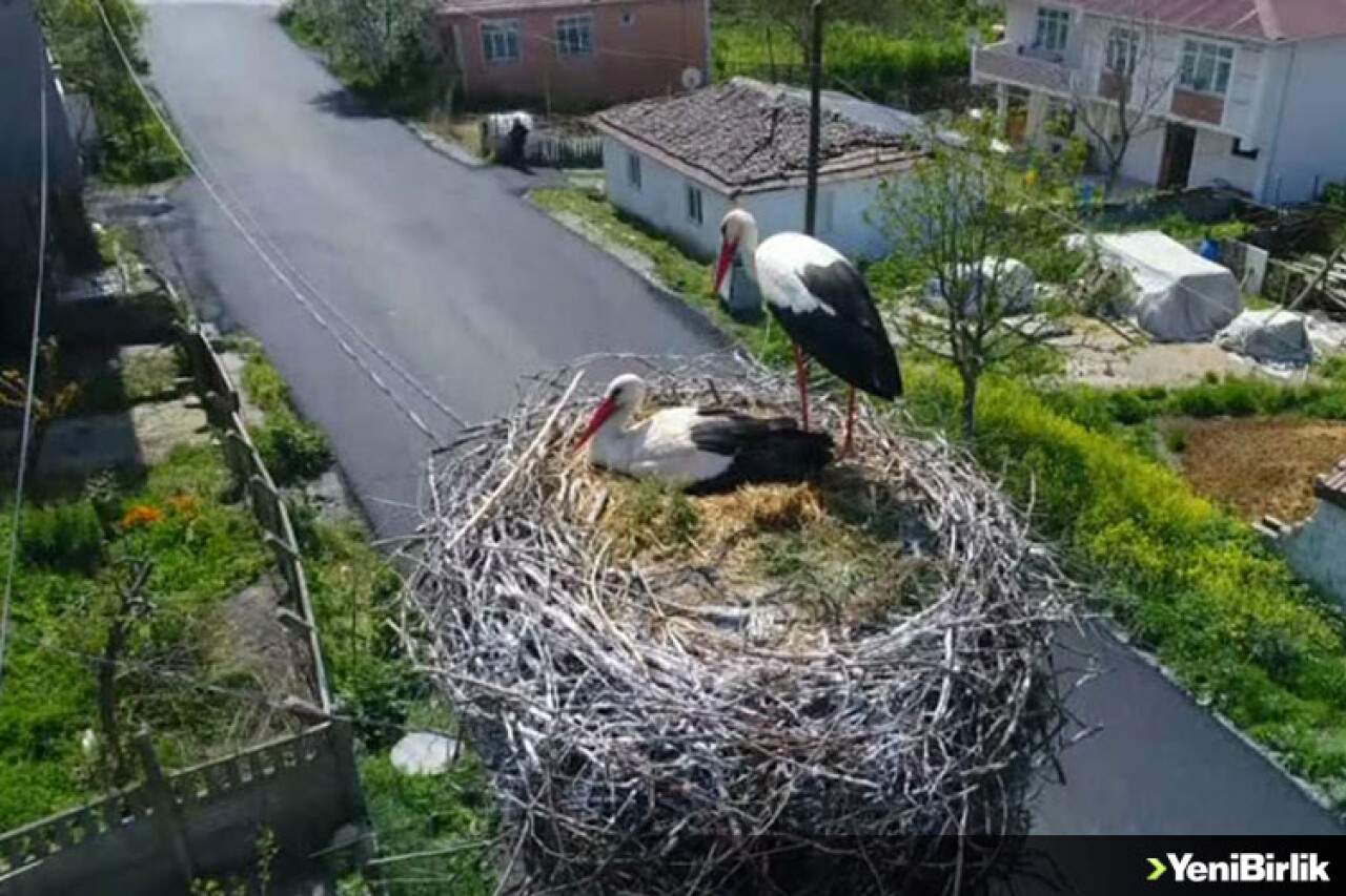'Leylekli Köy'ün Müdavimleri Yuvalarına Döndü