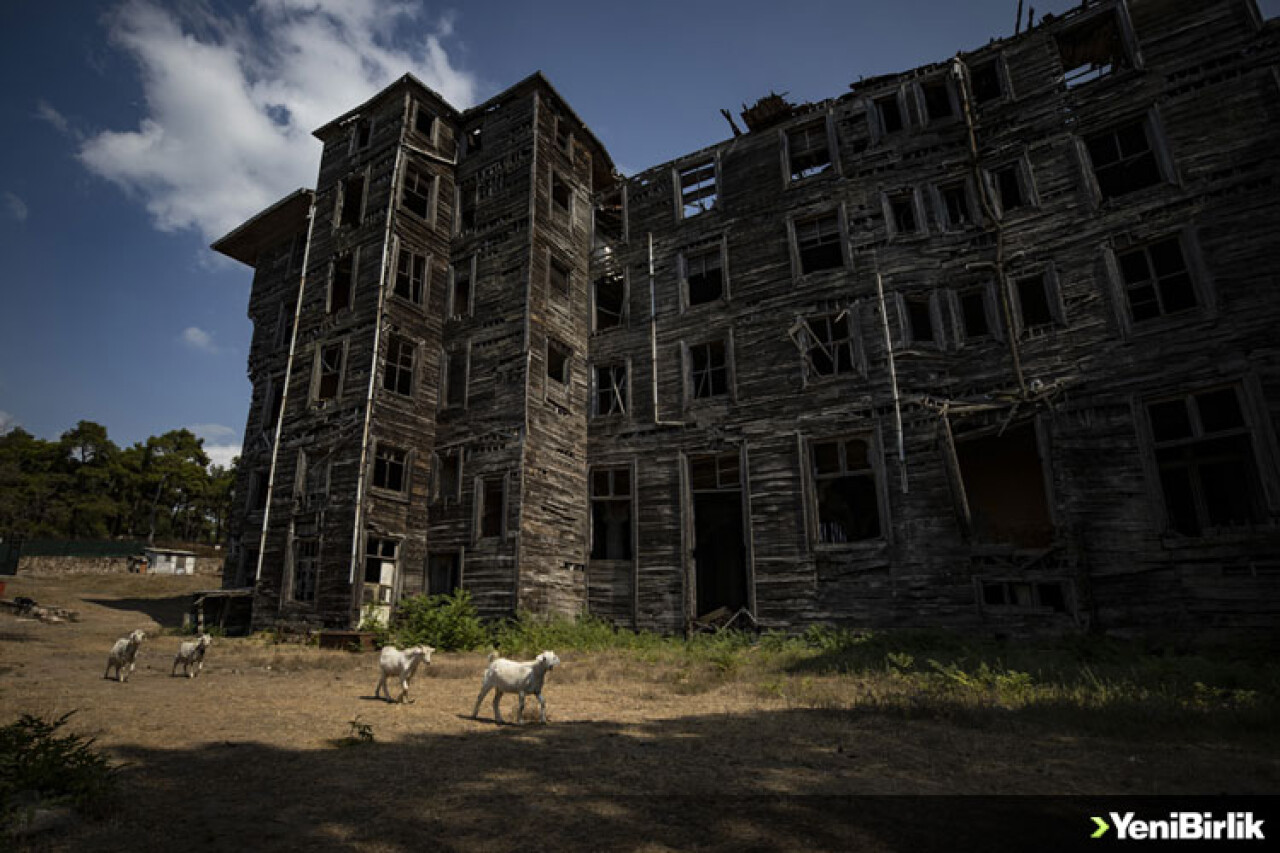 Büyükada Rum Yetimhanesi'nin kaderi farklı görüş ve sponsorlarla belirlenecek