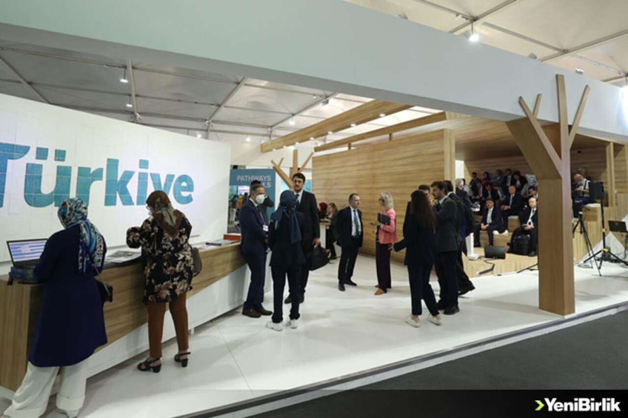 Türkiye'nin uydudan takip ettiği caretta carettalar COP27'de ilgi odağı oldu