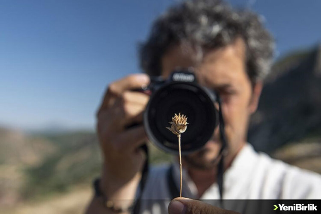 Doğasever akademisyen Tunceli dağlarında endemik bitkilerin izini sürüyor