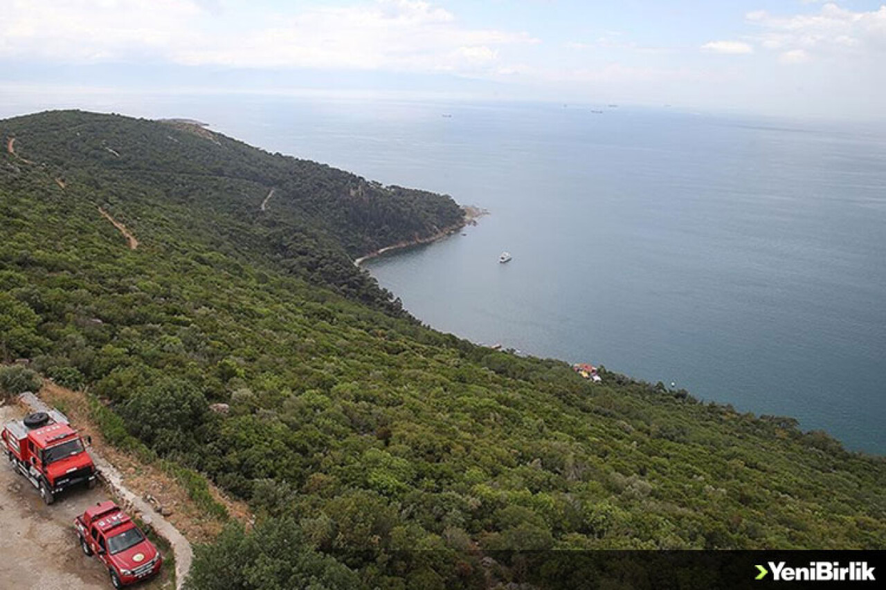 İstanbul ormanlarında "dumansız yangın"la mücadele